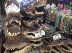 Alligators for sale. Real or contrived?