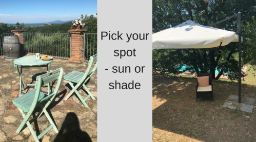 Pick your spot- sun or shade